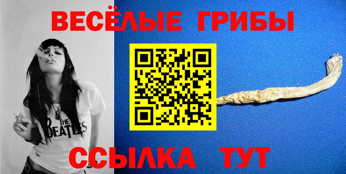 Красноуфимск  Псилоцибиновые грибы прущие грибы  Вход с VPN  Псилоцибиновые грибы ЛСД 